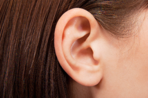 close up of ear